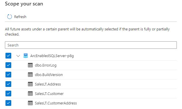 Screenshot that shows selected assets for scoping a scan.