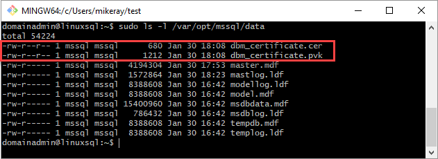Cuplikan layar jendela Git Bash memperlihatkan .cer dan .pvk di folder /var/opt/mssql/data.