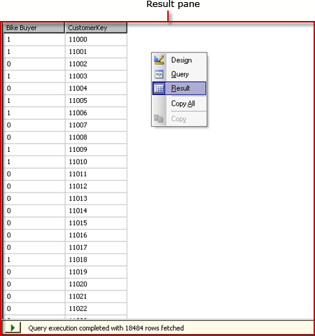 Perancang kueri DMX Analysis Services, tampilan hasil