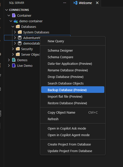 Cuplikan layar opsi Database Cadangan di menu konteks Object Explorer.