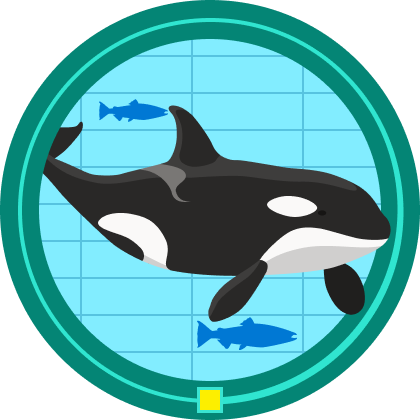 Illustration of orca research badge, with a swimming orca and two salmons.