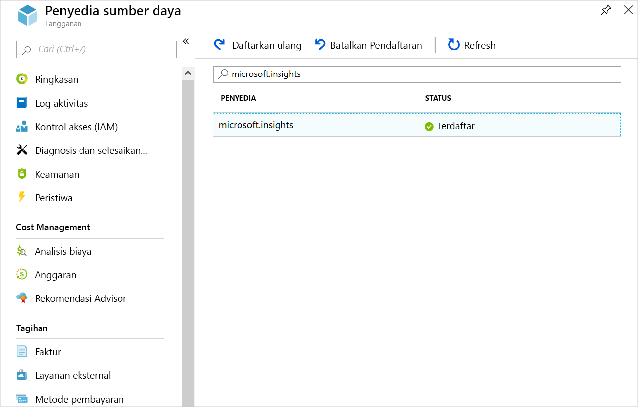 Screenshot showing the registered Microsoft.Insights provider.