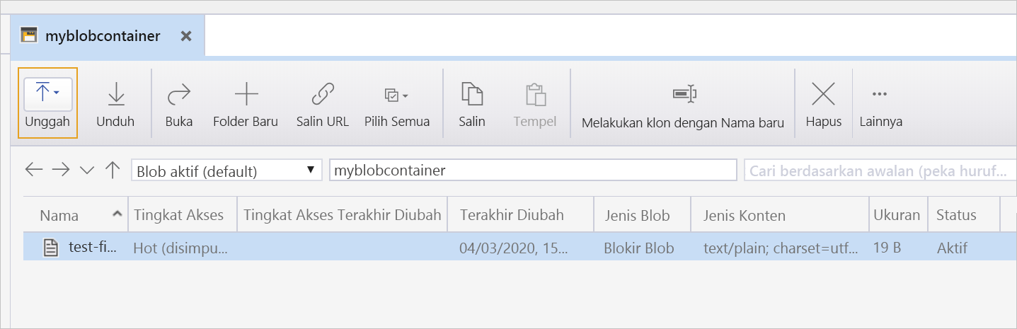 Cuplikan layar yang menunjukkan file di akun penyimpanan.