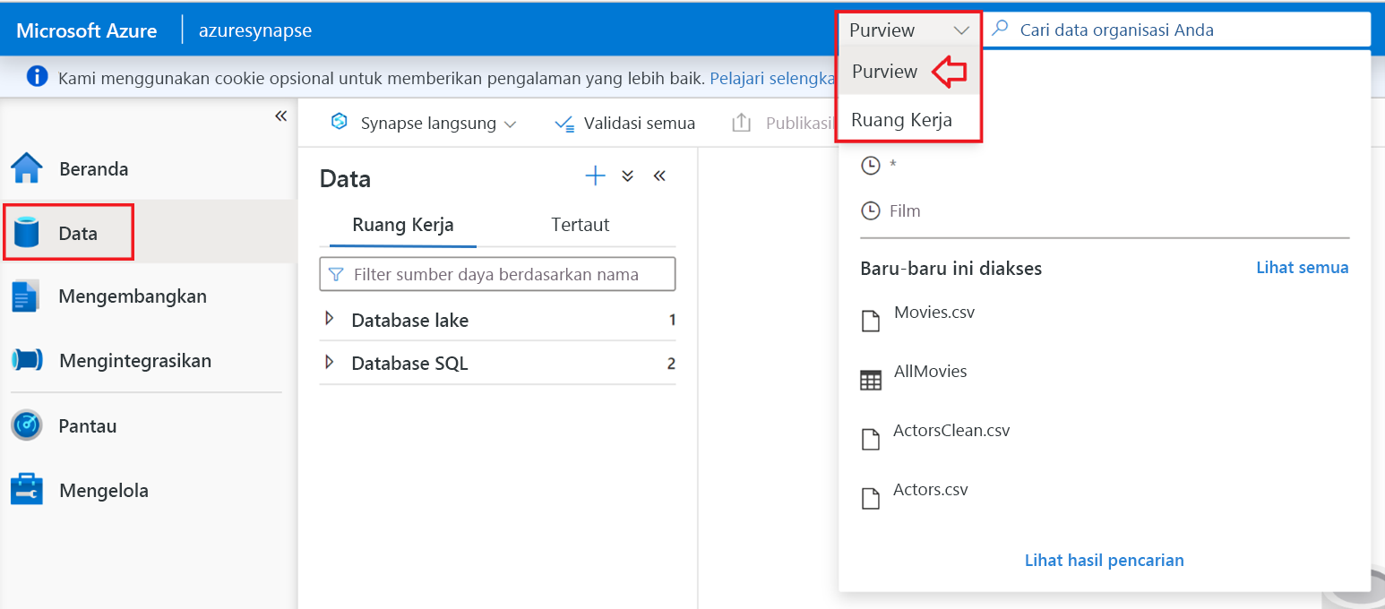 Dropdown on the left of the search bar displays the option to search the Synapse Workspace or Microsoft Purview.