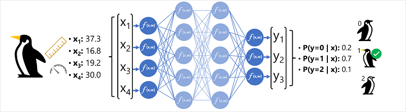 Diagram jaringan neural yang digunakan untuk mengklasifikasikan spesies penguin.