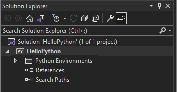 Cuplikan layar yang memperlihatkan Proyek Web Python kosong yang baru dibuat di Penjelajah Solusi.