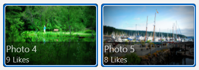 Dua gambar dalam tampilan item, masing-masing dengan batas biru di sekitarnya untuk menunjukkan pilihan.