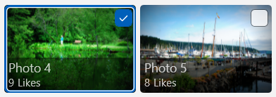 Gambar dalam tampilan item dengan batas biru di sekitarnya dan kotak centang dilapisi untuk menunjukkan pilihan di samping gambar yang tidak dipilih tanpa batas dan kotak centang yang tidak dicentang.