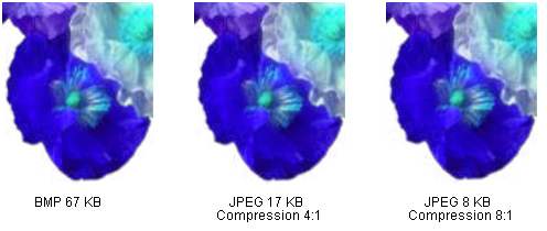 ilustrasi memperlihatkan gambar bitmap dan dua kompresi jpeg dari gambar itu; kompresi tertinggi memiliki lebih banyak variasi dari aslinya