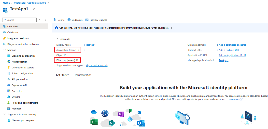 Screenshot shows the Overview page of the registered application, showing the Application (client) ID and Directory (tenant) ID.