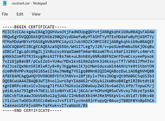 Screenshot showing root certificate information in Notepad.