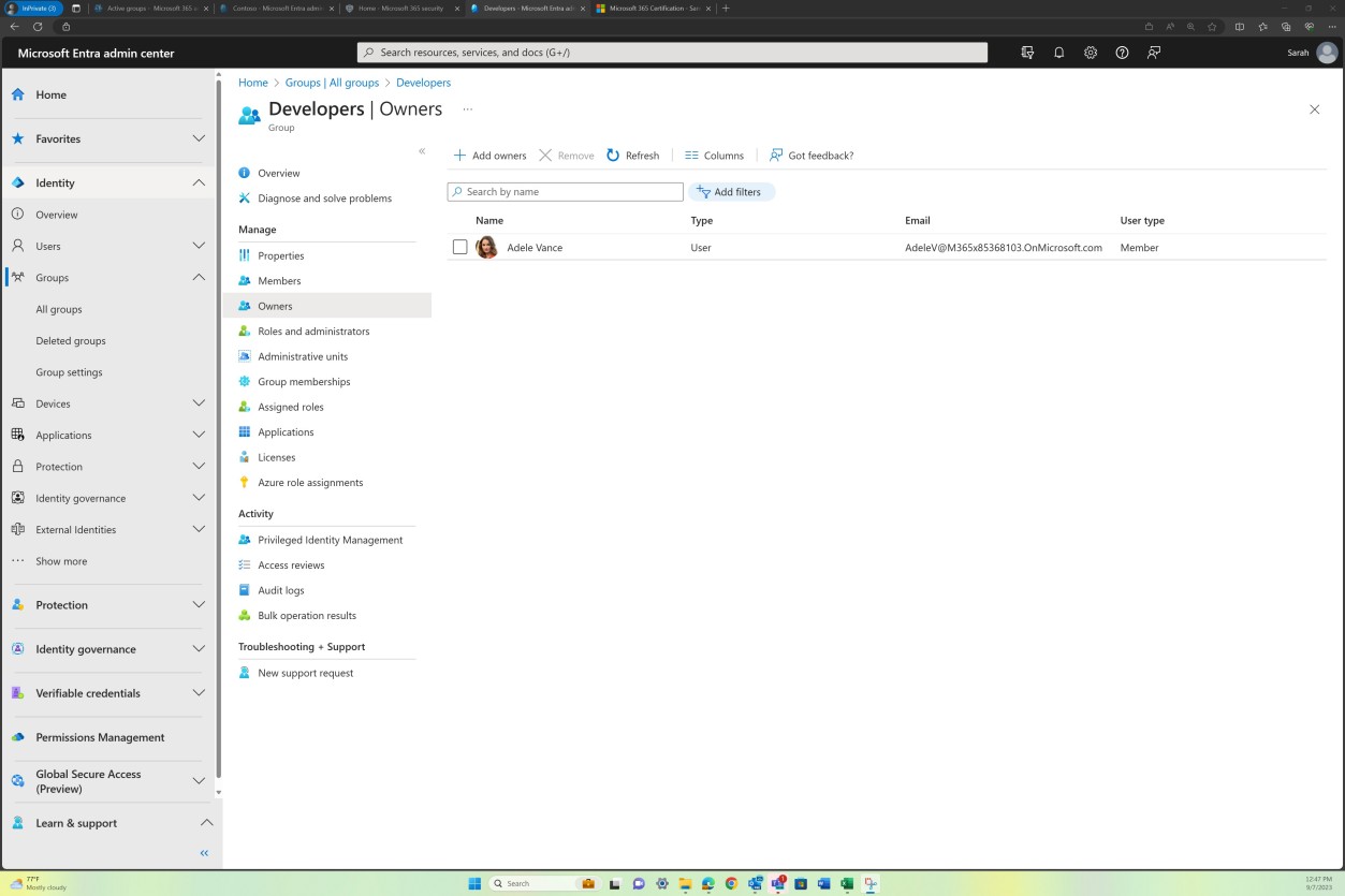 Microsoft Entra admin center developer group owners listing one user.