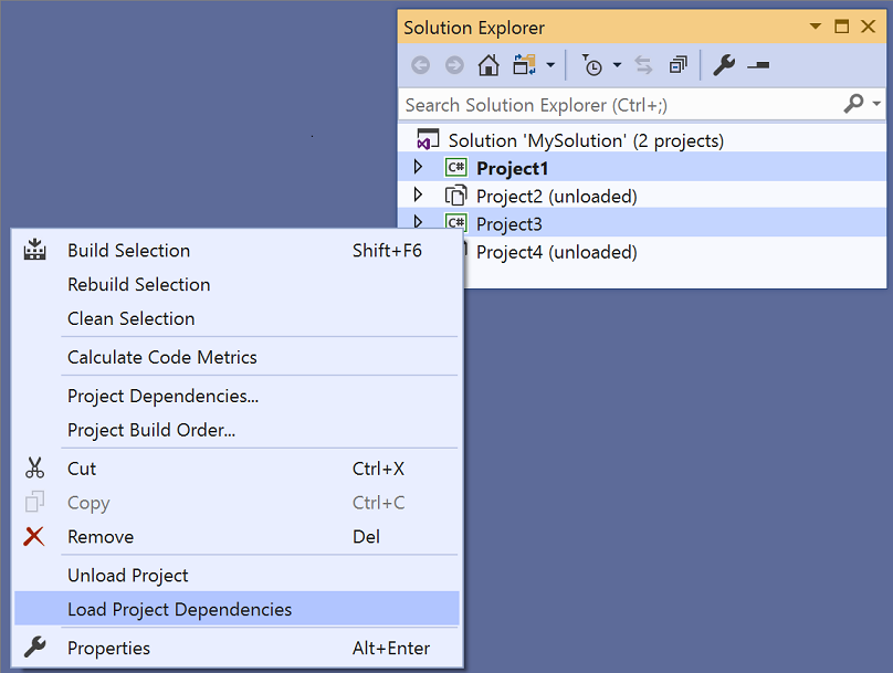 Load project dependencies in Visual Studio 2019