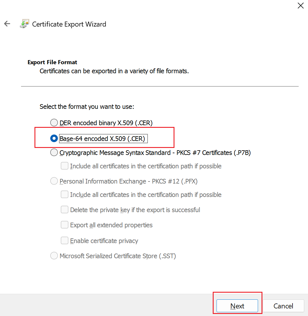 Screenshot che mostra l'esportazione con codifica Base 64.