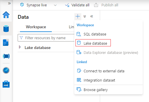 Screenshot che mostra la creazione di un database lake vuoto