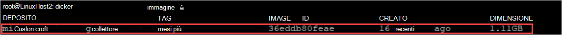 Screenshot della verifica dell'esito positivo dell'importazione dell'agente di raccolta log.