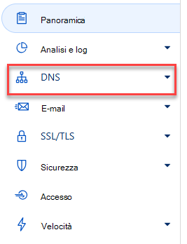 Selezionare DNS.