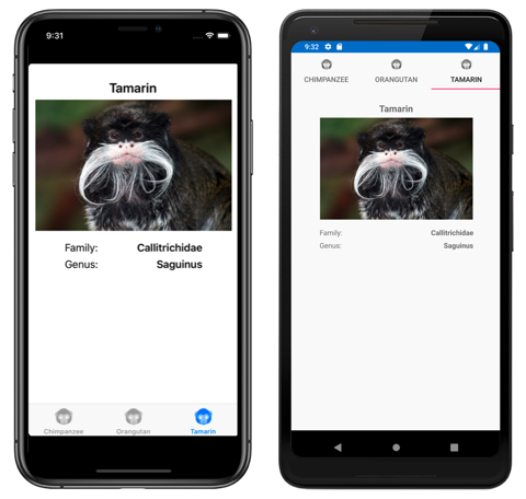 Screenshot di un oggetto TabbedPage basato su modelli in iOS e Android