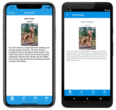 Screenshot della navigazione tra le pagine della shell, in iOS e Android