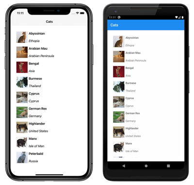 Screenshot di un'app a pagina singola Shell in iOS e Android