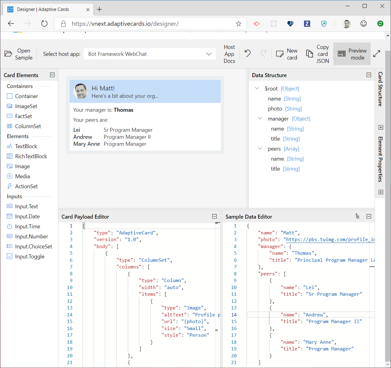 Screenshot della finestra di progettazione