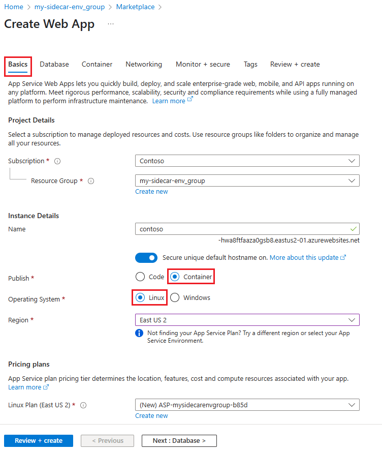 Screenshot che mostra le impostazioni di base per l'app Web contenitore personalizzato Linux.