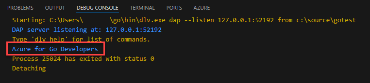 Screenshot che mostra il risultato del programma Go di esempio stampato nella console di debug.