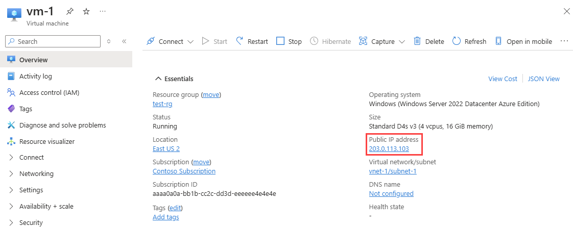 Screenshot dell'indirizzo IP pubblico di una macchina virtuale nella pagina Panoramica.