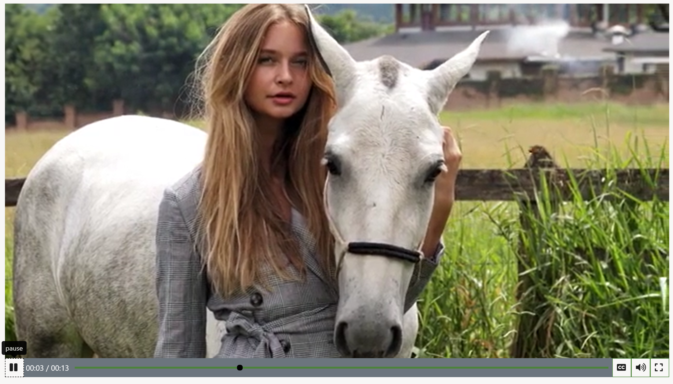 Screenshot di un modulo lettore video.