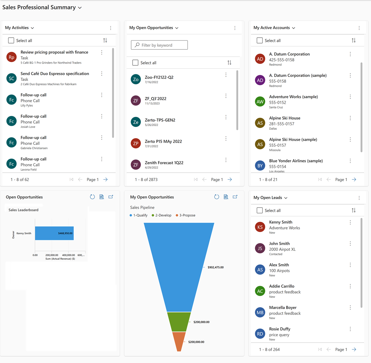Screenshot del dashboard Riepilogo Sales Professional.