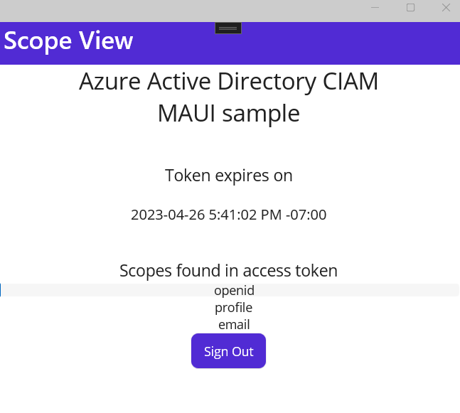 Screenshot della pagina principale nell'applicazione desktop dopo l'accesso.