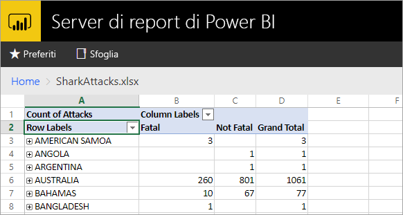 Schermata dei report di Excel visualizzati sul portale web del server di report.