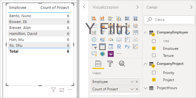 Screenshot of the visualization tab used with the Employee and Project fields.