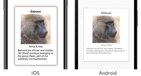 Ridimensionamento degli elementi dinamici CarouselView Screenshot di un controllo CarouselView con ridimensionamento dinamico degli elementi in iOS e Android