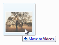 schermata di foto, puntatore standard e descrizione infotip 