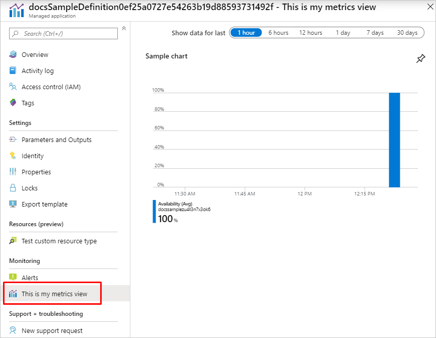 Screenshot che mostra una pagina di monitoraggio denominata This is my metrics view per un'applicazione gestita.