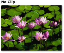 Oggetto prima di applicare un'area di ritaglio Un