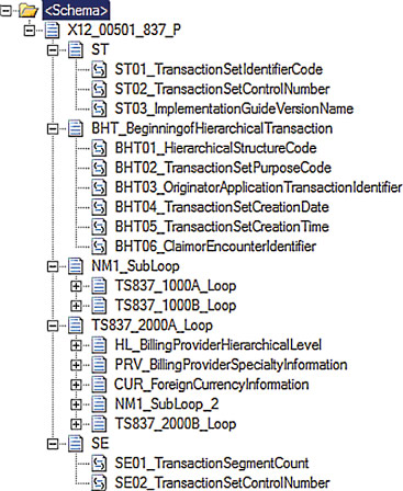 image: The 837 Professional 5010 Schema