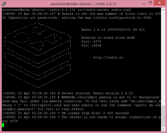 Screenshot della finestra del server Redis utente di Azure, che mostra le informazioni sul server, tra cui l'avvio del server e lo stato della memoria.