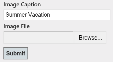 Screenshot di un modulo HTML che mostra un campo Image Caption con il testo Summer Vacation e una selezione file di immagine.