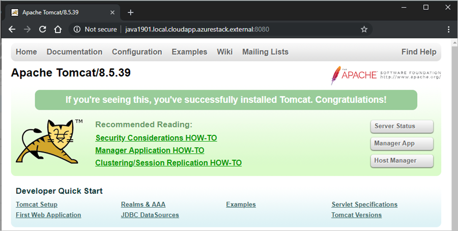 Screenshot che mostra la pagina Apache Tomcat.