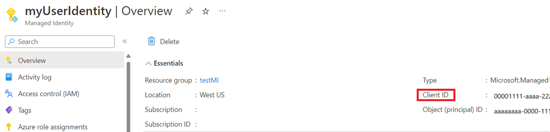 Screenshot della risorsa identità gestita assegnata all'utente che mostra il valore dell'ID cliente.