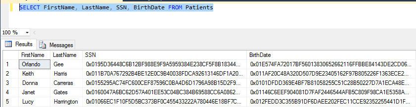Screenshot che mostra che le colonne crittografate non contengono dati di testo non crittografato.