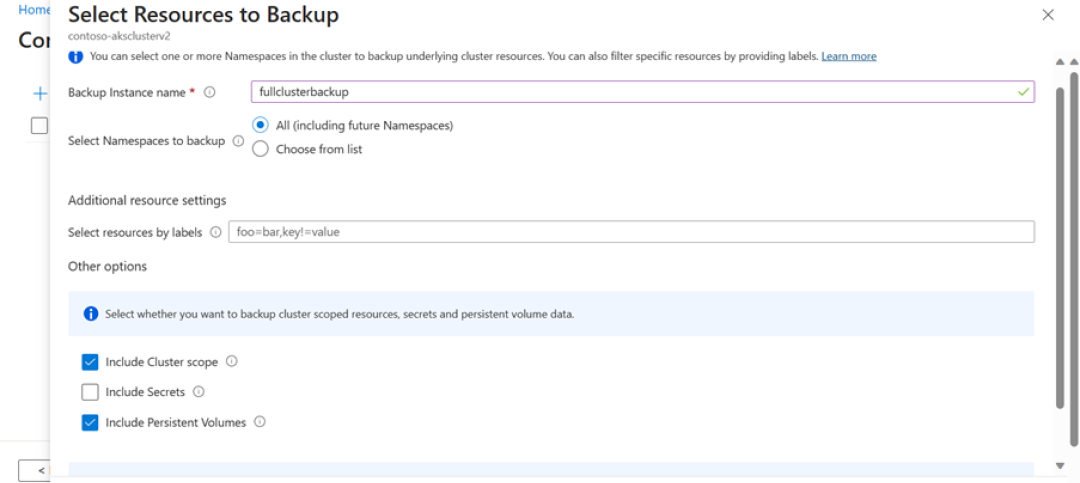 Screenshot che mostra come definire le risorse del cluster per il backup.