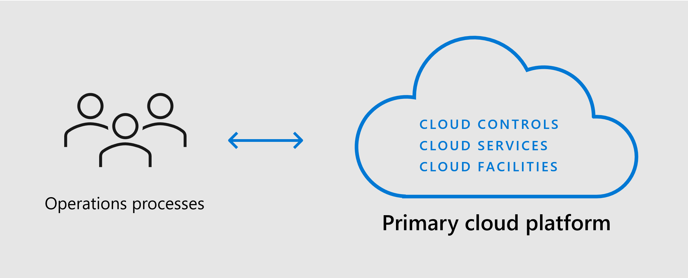 Diagramma che mostra la piattaforma cloud primaria con strutture, servizi e controlli per supportare i processi.