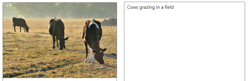 Foto di mucche con una semplice descrizione a destra.
