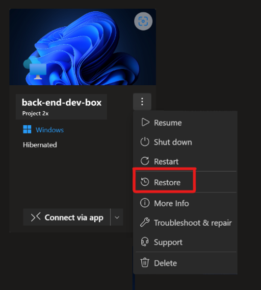 Screenshot del portale per sviluppatori, che mostra il menu azioni per una casella di sviluppo con l'opzione Ripristina evidenziata.