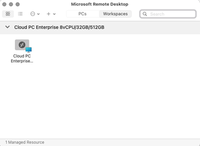 Screenshot di una casella di sviluppo in un'area di lavoro client Desktop remoto non Windows.
