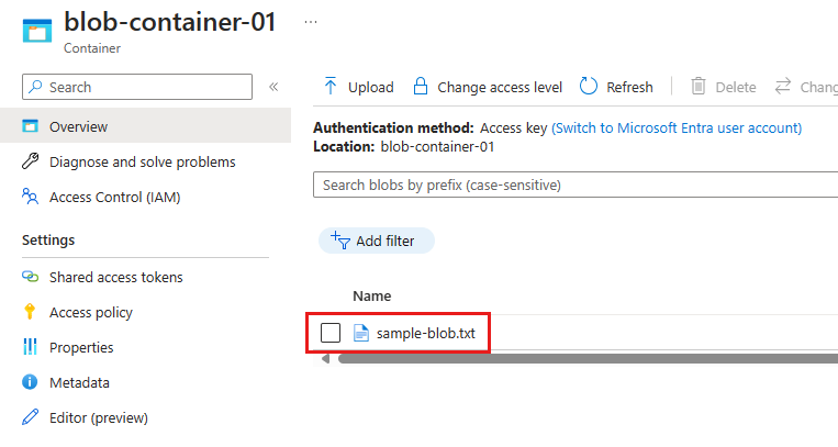 Pagina del portale di Azure relativa al contenitore BLOB che mostra il file caricato