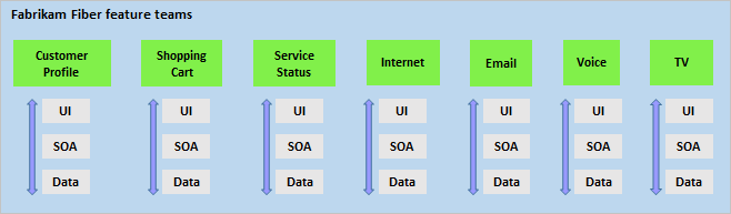Grafico che mostra sette team di funzionalità: Carrello acquisti, Profilo cliente, Stato del servizio, Posta elettronica, Voce, Internet e TV